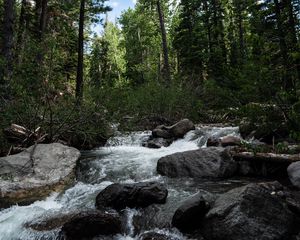Preview wallpaper river, stones, forest, trees, nature