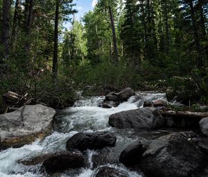 Preview wallpaper river, stones, forest, trees, nature