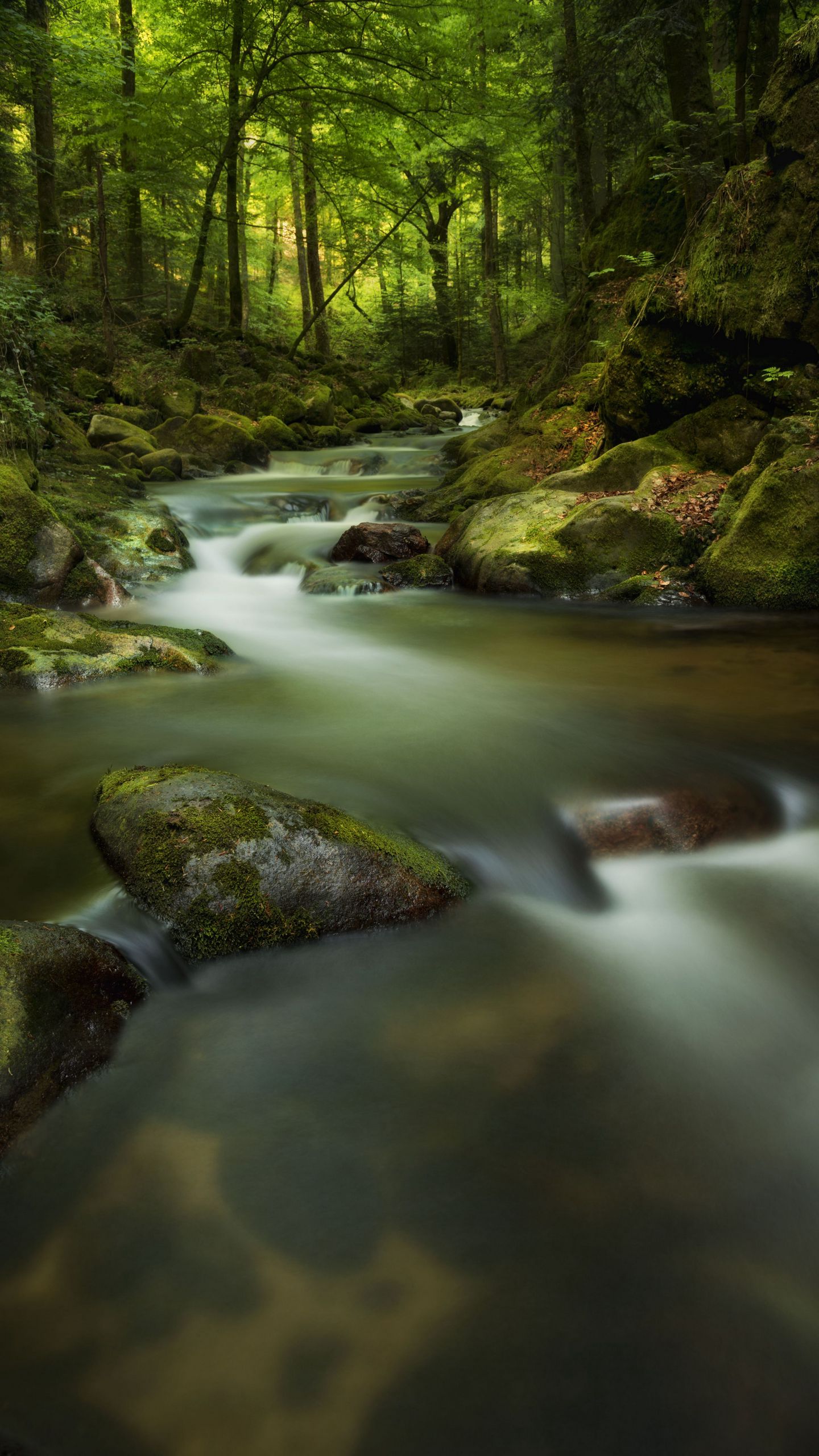 Hidden river. Заставка. Камни в лесу. Фото на заставку телефона. Заставки на телефон бесплатные необычные.