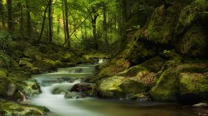 Preview wallpaper river, stones, forest, nature