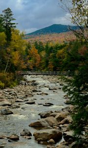 Preview wallpaper river, stones, landscape, trees, forest, mountains