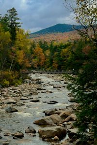 Preview wallpaper river, stones, landscape, trees, forest, mountains