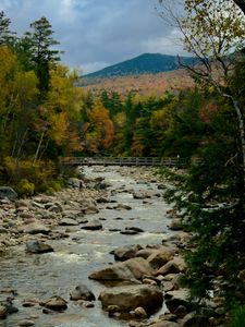 Preview wallpaper river, stones, landscape, trees, forest, mountains