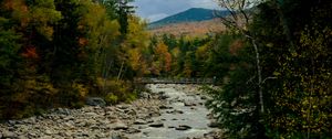 Preview wallpaper river, stones, landscape, trees, forest, mountains