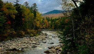 Preview wallpaper river, stones, landscape, trees, forest, mountains