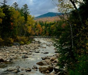 Preview wallpaper river, stones, landscape, trees, forest, mountains