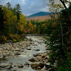 Preview wallpaper river, stones, landscape, trees, forest, mountains