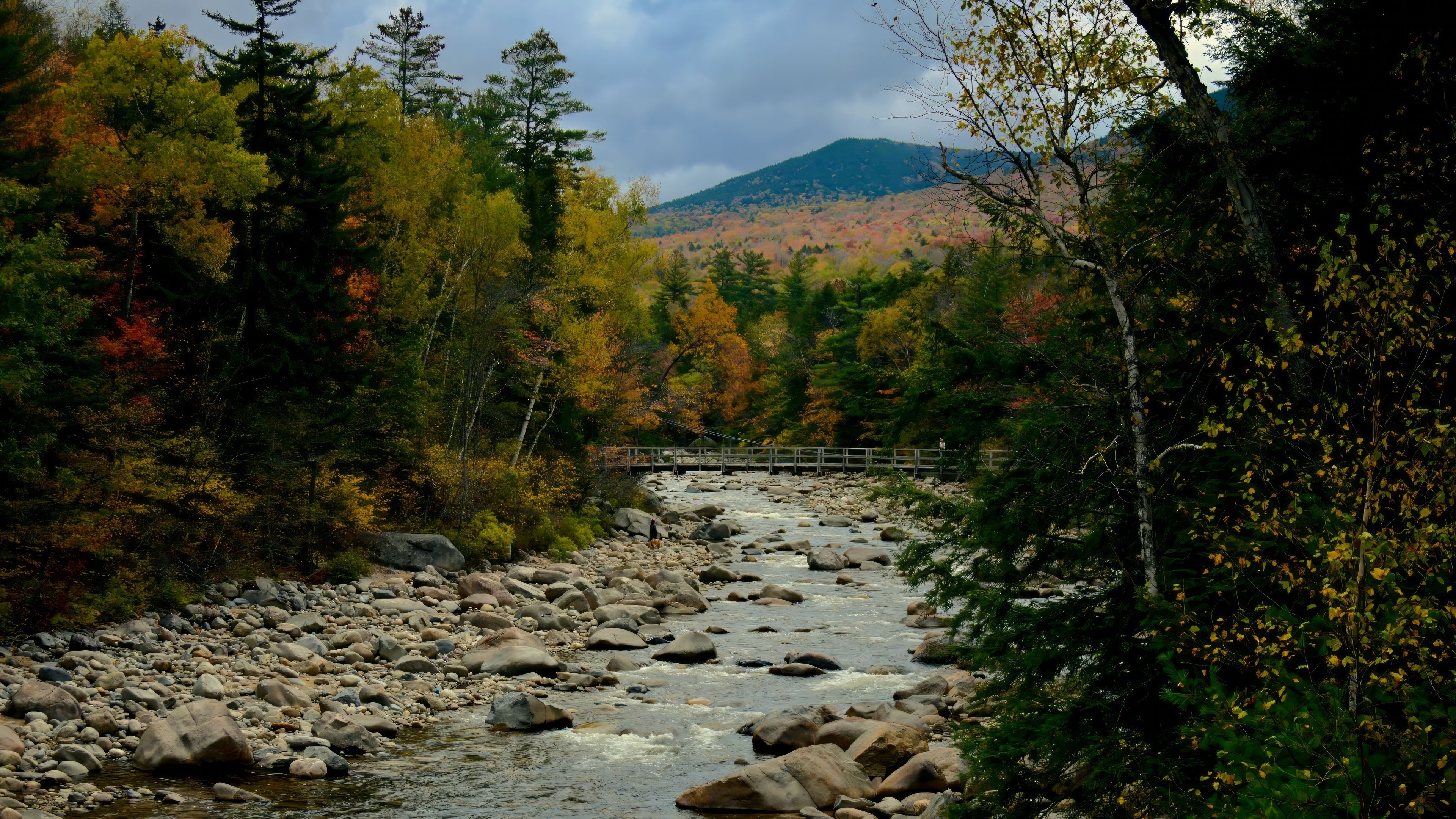 Download wallpaper 3840x2160 river, stones, landscape, trees, forest ...