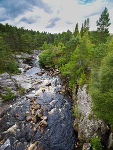 Preview wallpaper river, stones, landscape, nature, forest