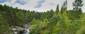 Preview wallpaper river, stones, landscape, nature, forest