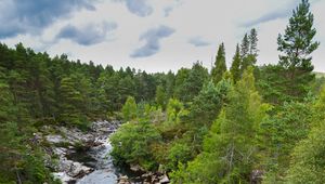 Preview wallpaper river, stones, landscape, nature, forest