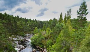 Preview wallpaper river, stones, landscape, nature, forest