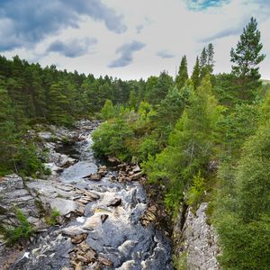 Preview wallpaper river, stones, landscape, nature, forest
