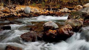 Preview wallpaper river, stones, leaves