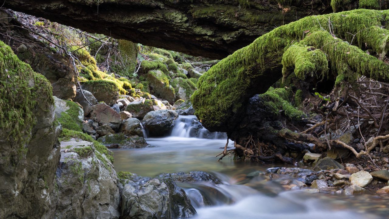 Wallpaper river, stones, moss, landscape, nature