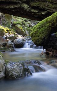 Preview wallpaper river, stones, moss, landscape, nature