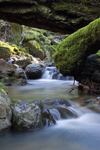 Preview wallpaper river, stones, moss, landscape, nature