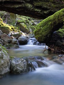 Preview wallpaper river, stones, moss, landscape, nature