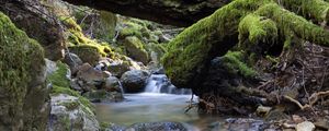 Preview wallpaper river, stones, moss, landscape, nature