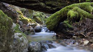 Preview wallpaper river, stones, moss, landscape, nature