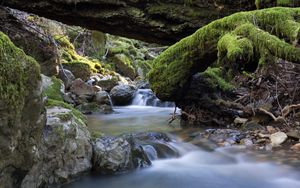 Preview wallpaper river, stones, moss, landscape, nature