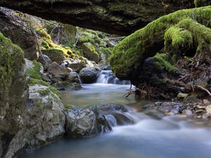 Preview wallpaper river, stones, moss, landscape, nature