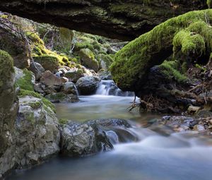 Preview wallpaper river, stones, moss, landscape, nature