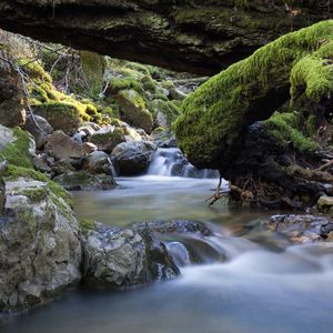 Preview wallpaper river, stones, moss, landscape, nature