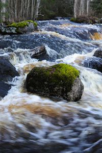 Preview wallpaper river, stones, moss, flow, landscape, nature