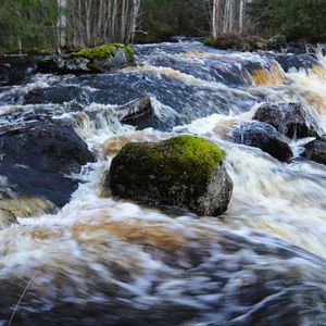 Preview wallpaper river, stones, moss, flow, landscape, nature