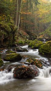 Preview wallpaper river, stones, moss, stream, trees