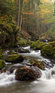 Preview wallpaper river, stones, moss, stream, trees