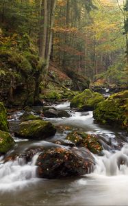 Preview wallpaper river, stones, moss, stream, trees