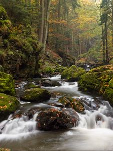 Preview wallpaper river, stones, moss, stream, trees