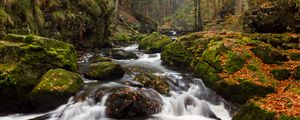 Preview wallpaper river, stones, moss, stream, trees