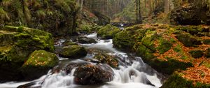 Preview wallpaper river, stones, moss, stream, trees
