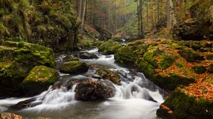 Preview wallpaper river, stones, moss, stream, trees