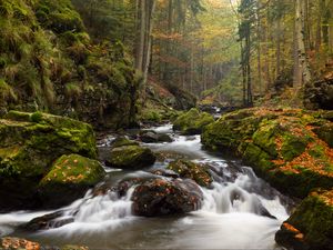 Preview wallpaper river, stones, moss, stream, trees