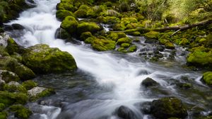 Preview wallpaper river, stones, moss, trees, nature