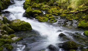 Preview wallpaper river, stones, moss, trees, nature