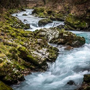 Preview wallpaper river, stones, moss, nature