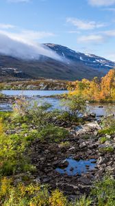 Preview wallpaper river, stones, mountain, bushes, clouds