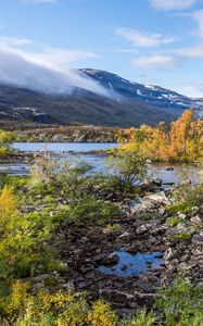 Preview wallpaper river, stones, mountain, bushes, clouds