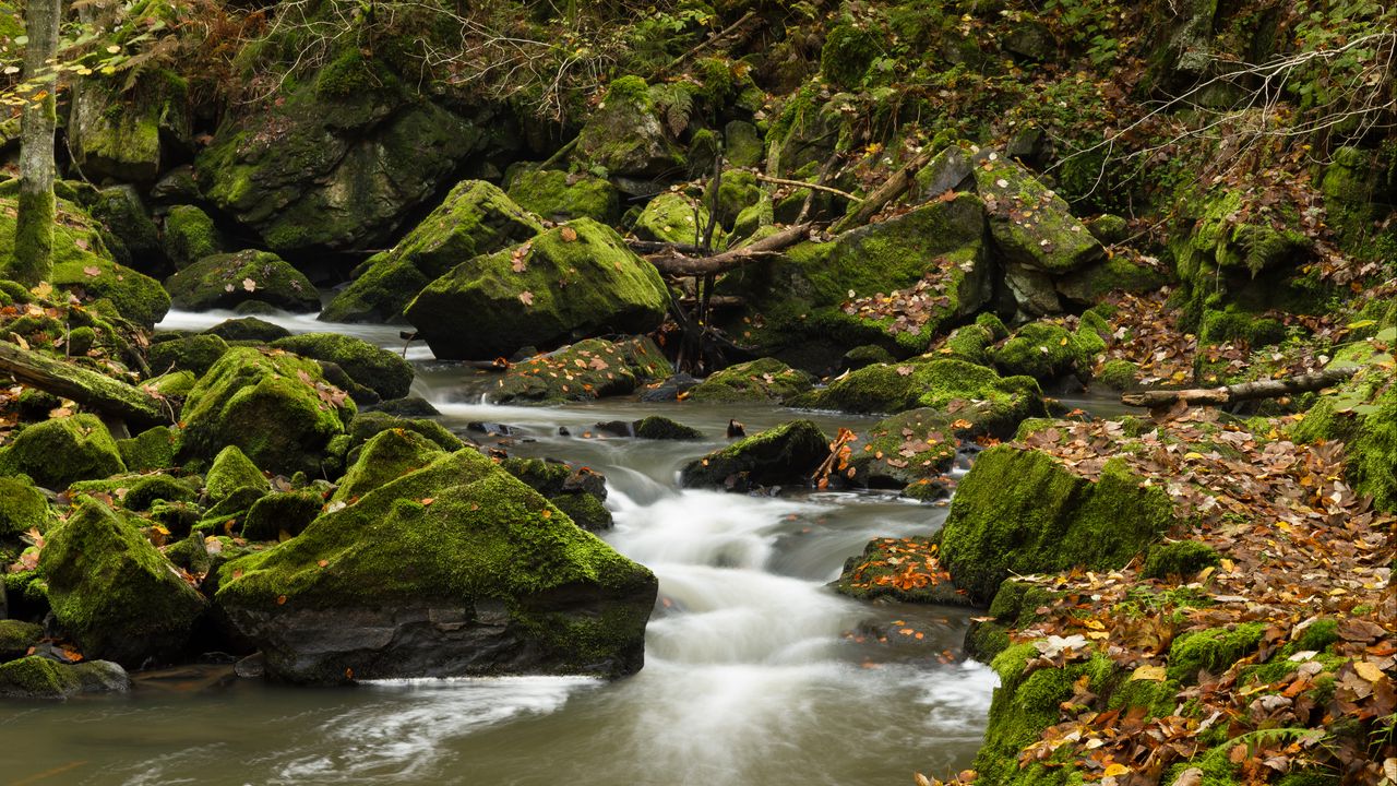 Wallpaper river, stones, rocks, moss, landscape