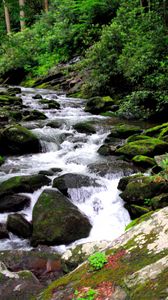 Preview wallpaper river, stones, stream, moss, bushes