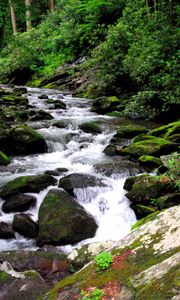 Preview wallpaper river, stones, stream, moss, bushes