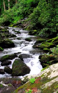 Preview wallpaper river, stones, stream, moss, bushes