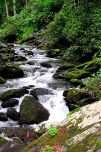 Preview wallpaper river, stones, stream, moss, bushes