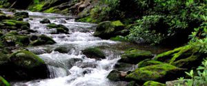 Preview wallpaper river, stones, stream, moss, bushes