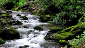 Preview wallpaper river, stones, stream, moss, bushes